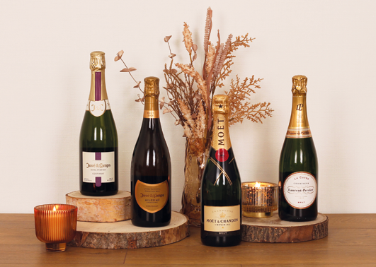 Estuche Cava 1